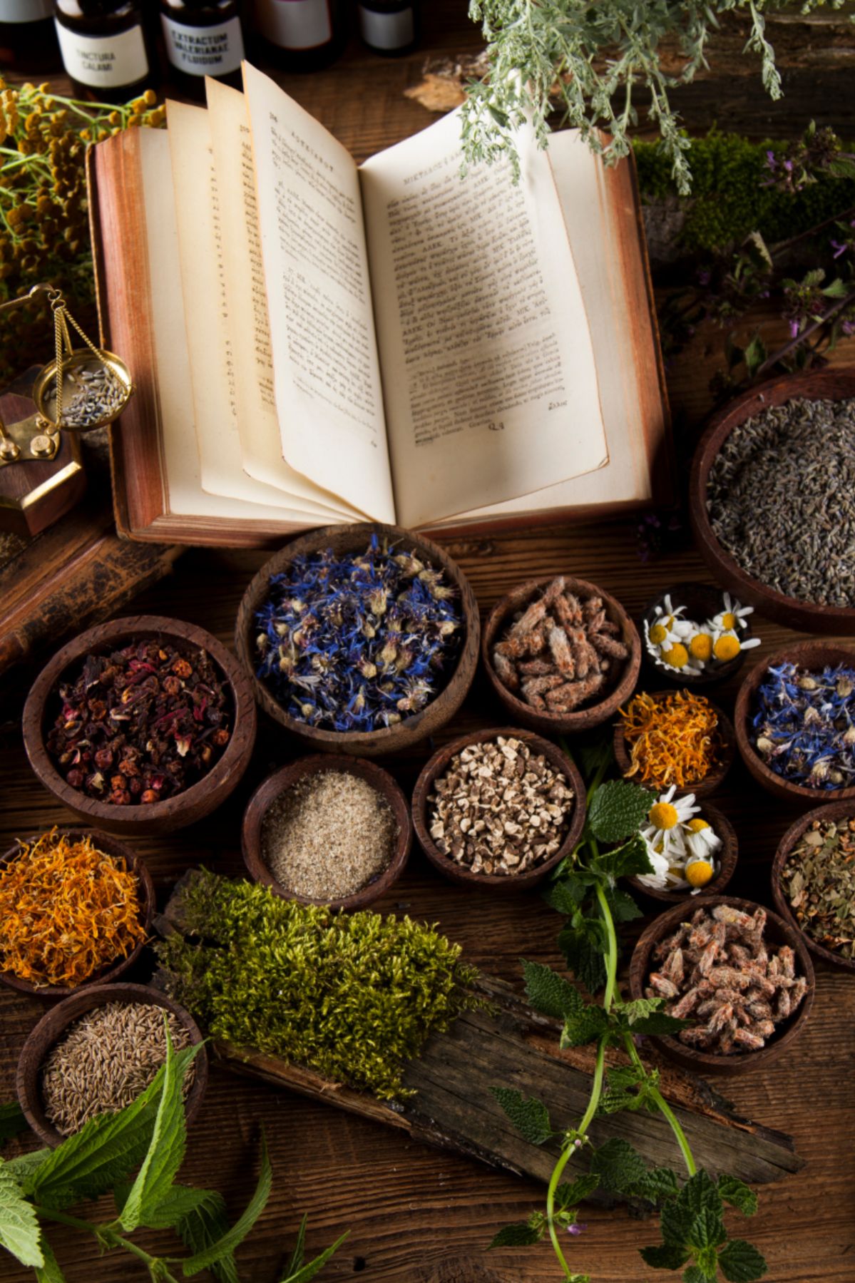 Fertility & Pregnancy Support